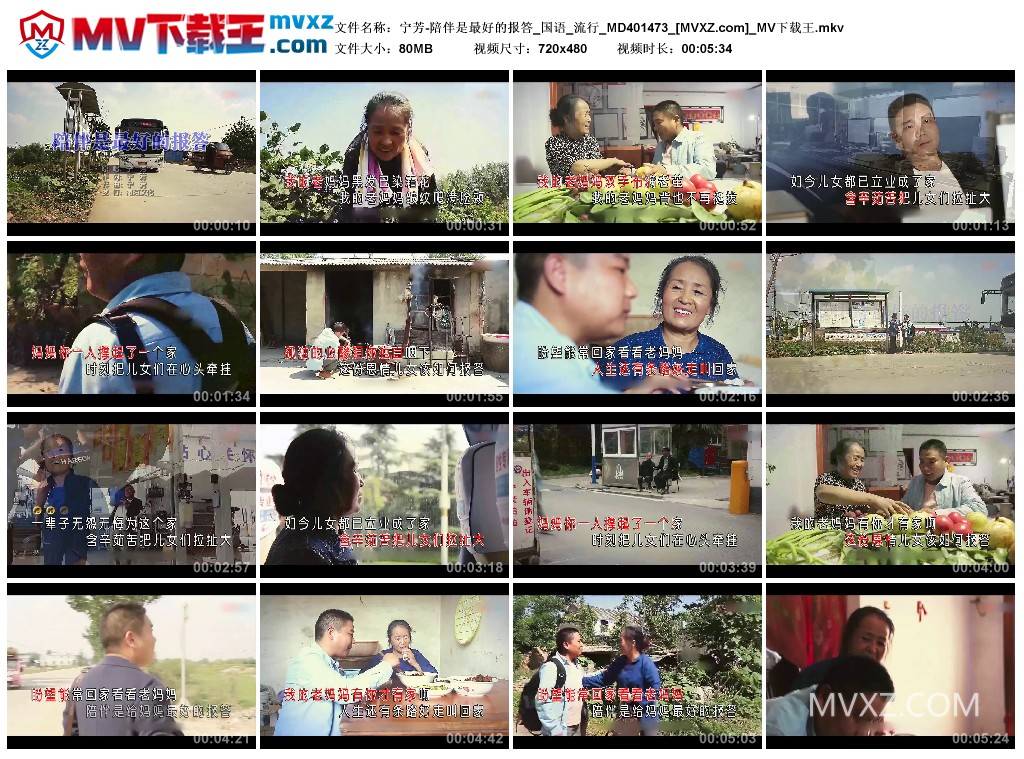 宁芳-陪伴是最好的报答_国语_流行_MD401473